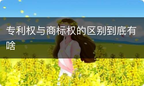 专利权与商标权的区别到底有啥