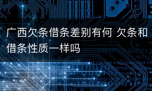 广西欠条借条差别有何 欠条和借条性质一样吗