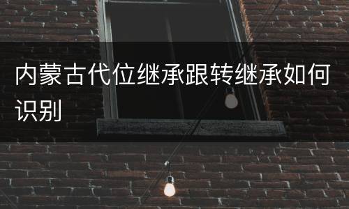 内蒙古代位继承跟转继承如何识别