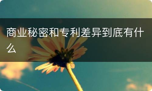 商业秘密和专利差异到底有什么