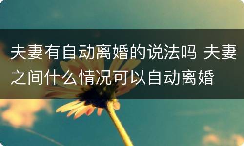夫妻有自动离婚的说法吗 夫妻之间什么情况可以自动离婚