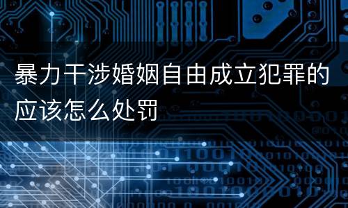 暴力干涉婚姻自由成立犯罪的应该怎么处罚