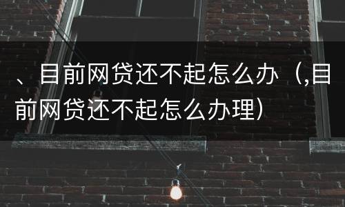 、目前网贷还不起怎么办(,目前网贷还不起怎么办理)