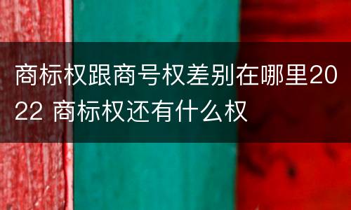 商标权跟商号权差别在哪里2022 商标权还有什么权