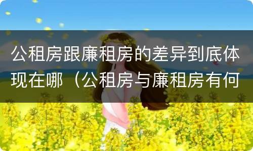 公租房跟廉租房的差异到底体现在哪（公租房与廉租房有何区别）