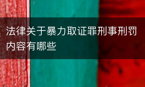 法律关于暴力取证罪刑事刑罚内容有哪些