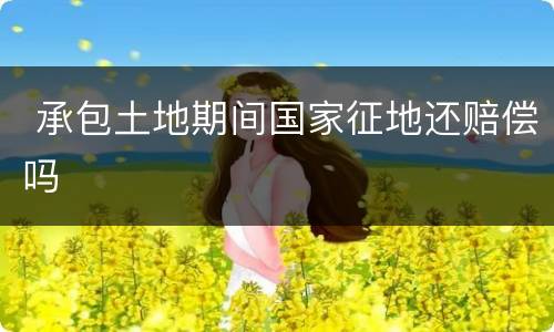  承包土地期间国家征地还赔偿吗