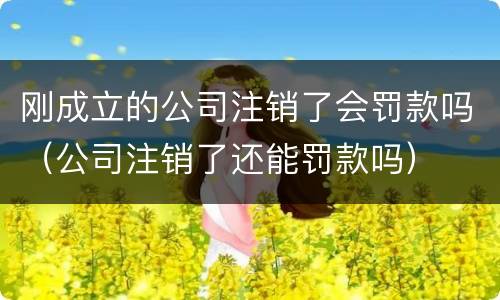 刚成立的公司注销了会罚款吗（公司注销了还能罚款吗）