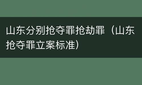 山东分别抢夺罪抢劫罪（山东抢夺罪立案标准）