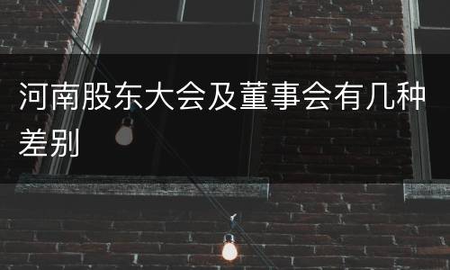 河南股东大会及董事会有几种差别