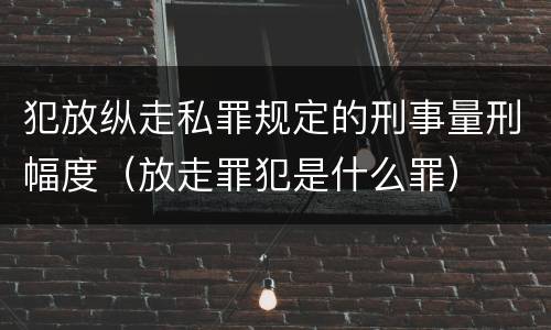 犯放纵走私罪规定的刑事量刑幅度（放走罪犯是什么罪）