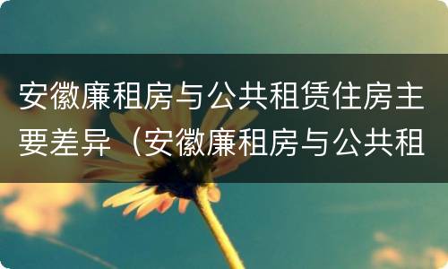 安徽廉租房与公共租赁住房主要差异（安徽廉租房与公共租赁住房主要差异是什么）