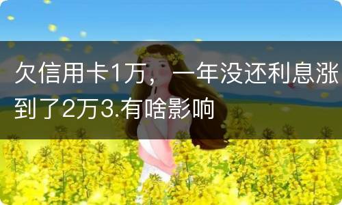 欠信用卡1万，一年没还利息涨到了2万3.有啥影响