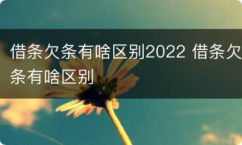 借条欠条有啥区别2022 借条欠条有啥区别