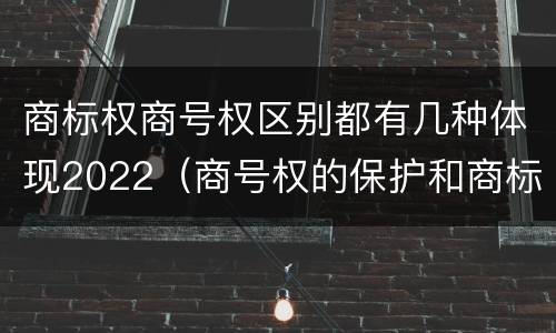 商标权商号权区别都有几种体现2022（商号权的保护和商标权的保护一样是全国性范围的）