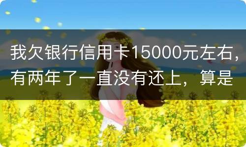 我欠银行信用卡15000元左右，有两年了一直没有还上，算是恶意透支吗