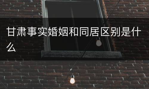 甘肃事实婚姻和同居区别是什么