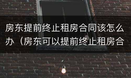 房东提前终止租房合同该怎么办（房东可以提前终止租房合同吗）