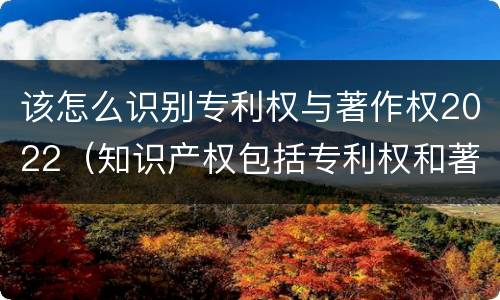 该怎么识别专利权与著作权2022（知识产权包括专利权和著作权吗）