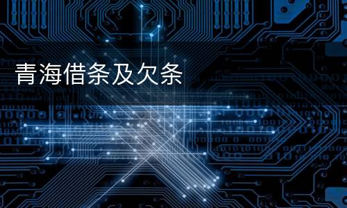 青海借条及欠条