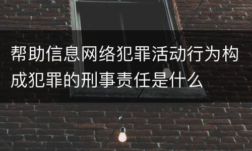 帮助信息网络犯罪活动行为构成犯罪的刑事责任是什么