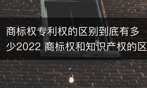 商标权专利权的区别到底有多少2022 商标权和知识产权的区别
