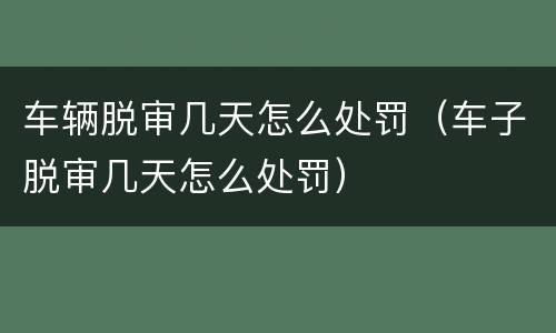 车辆脱审几天怎么处罚（车子脱审几天怎么处罚）