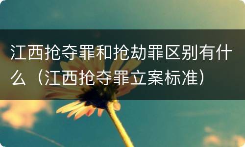 江西抢夺罪和抢劫罪区别有什么（江西抢夺罪立案标准）