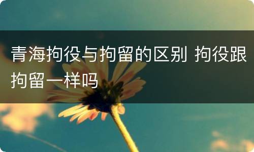 青海拘役与拘留的区别 拘役跟拘留一样吗