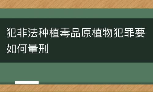犯非法种植毒品原植物犯罪要如何量刑