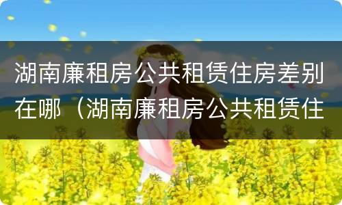 湖南廉租房公共租赁住房差别在哪（湖南廉租房公共租赁住房差别在哪查）