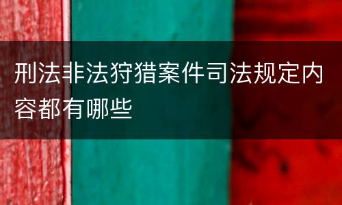 刑法非法狩猎案件司法规定内容都有哪些