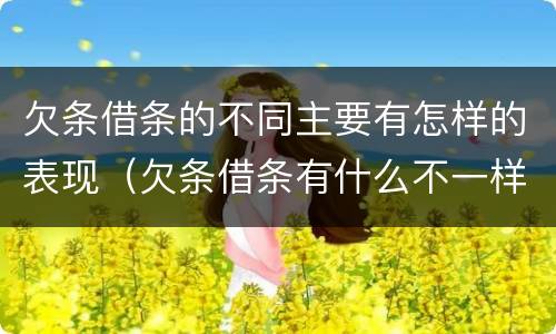 欠条借条的不同主要有怎样的表现（欠条借条有什么不一样）