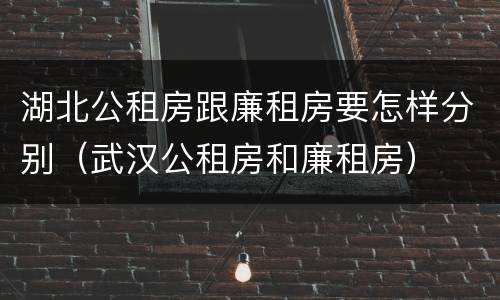湖北公租房跟廉租房要怎样分别（武汉公租房和廉租房）