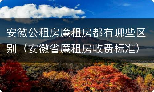 安徽公租房廉租房都有哪些区别（安徽省廉租房收费标准）
