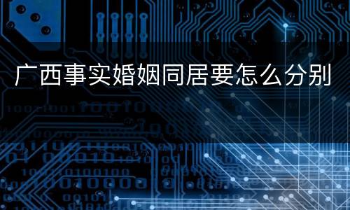 广西事实婚姻同居要怎么分别