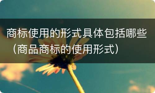 商标使用的形式具体包括哪些（商品商标的使用形式）