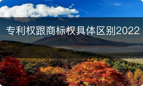 专利权跟商标权具体区别2022