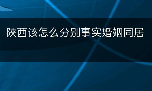 陕西该怎么分别事实婚姻同居