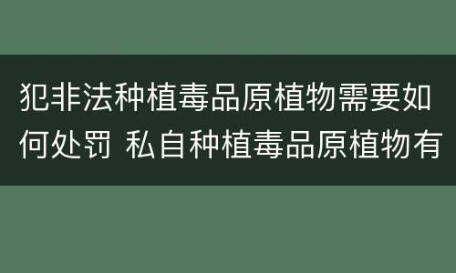犯非法种植毒品原植物需要如何处罚 私自种植毒品原植物有什么罪?