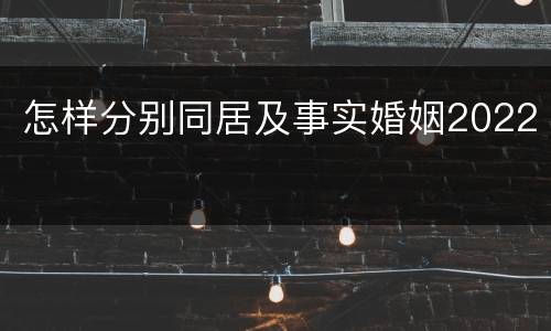 怎样分别同居及事实婚姻2022