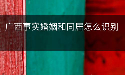 广西事实婚姻和同居怎么识别
