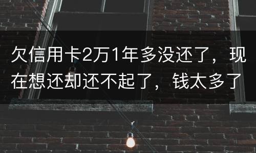 欠信用卡2万1年多没还了，现在想还却还不起了，钱太多了，会有什么后果