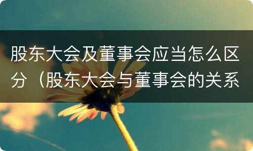 股东大会及董事会应当怎么区分（股东大会与董事会的关系是什么）