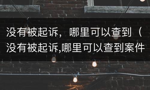 没有被起诉，哪里可以查到（没有被起诉,哪里可以查到案件）