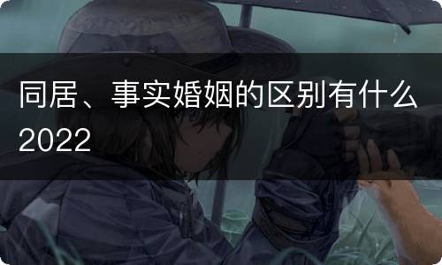 同居、事实婚姻的区别有什么2022