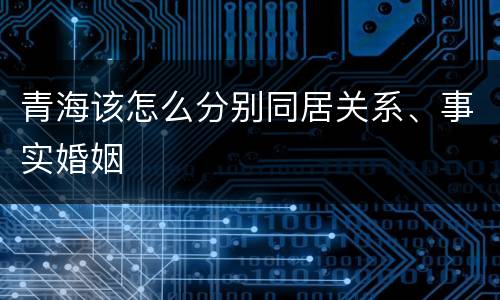 青海该怎么分别同居关系、事实婚姻