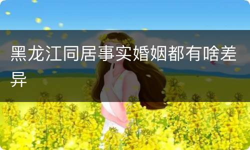 黑龙江同居事实婚姻都有啥差异