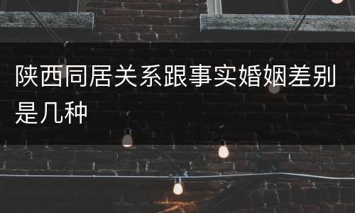 陕西同居关系跟事实婚姻差别是几种