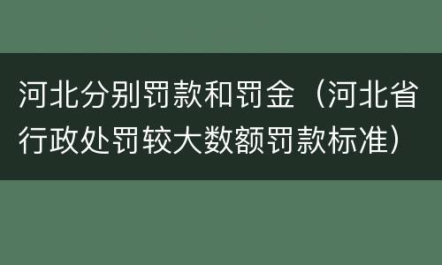 河北分别罚款和罚金（河北省行政处罚较大数额罚款标准）